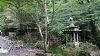 camp29 (206)_thumb.png